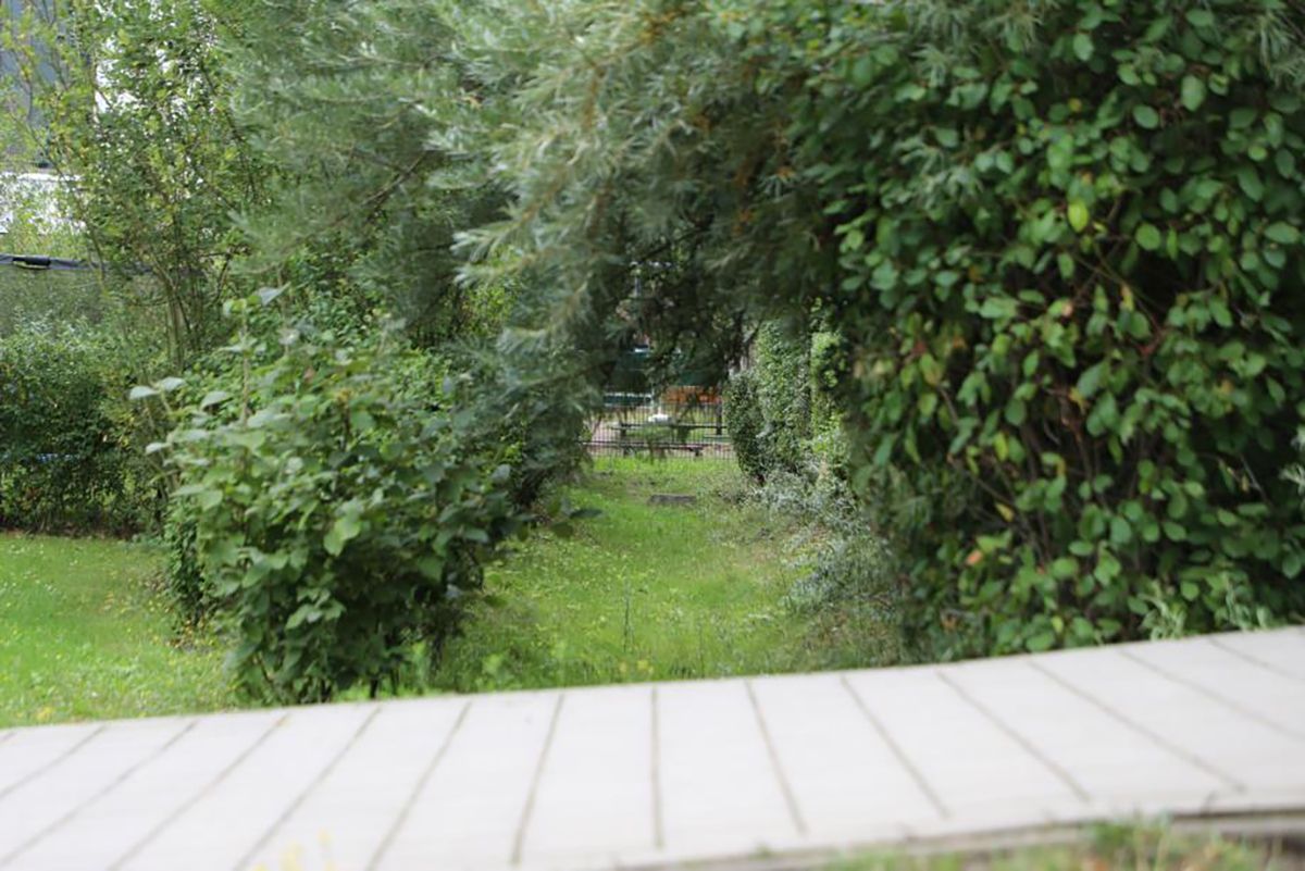 Versickerungsmulde mit Überlauf (leicht erhöhter Schacht im Hintergrund (Quelle: HCU Hamburg)